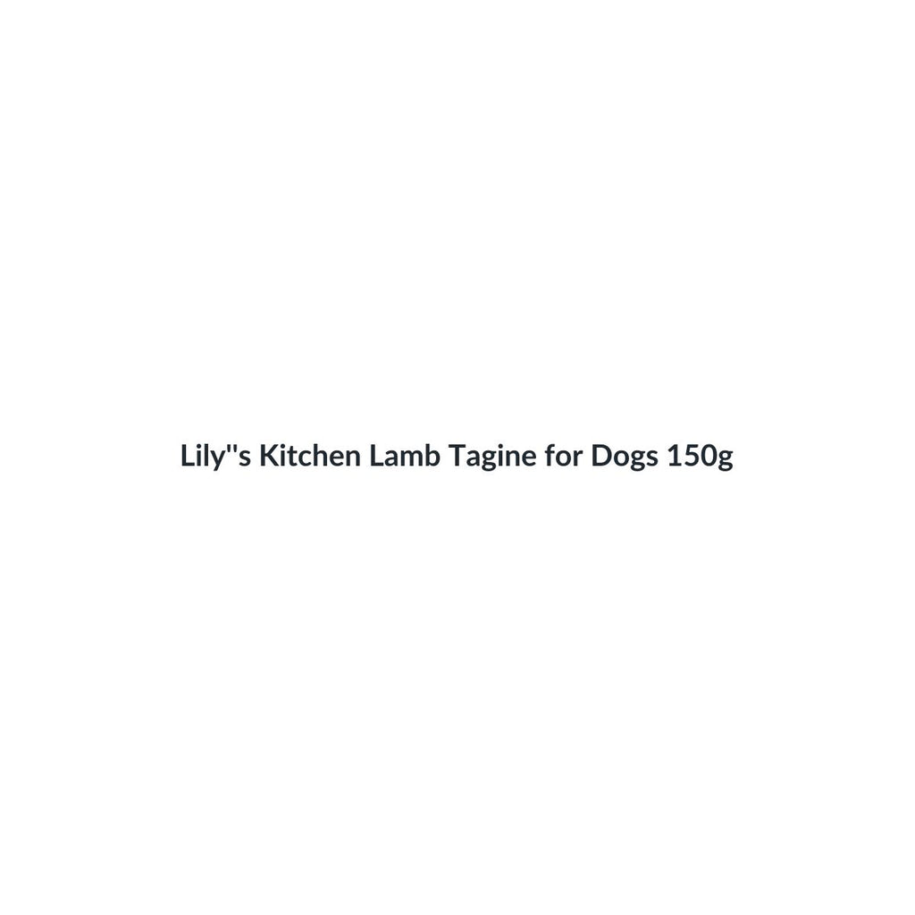 Lily's Kitchen Lamb Tagine for Dogs 150g