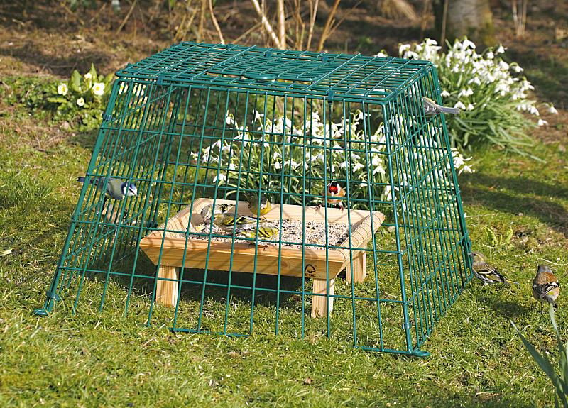 Cj Ground Guard Large Mesh Green