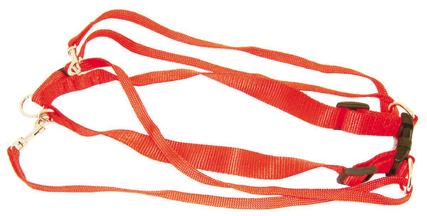 Nylon Gentledog Harness Red 25mm X 45-60cm