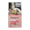 Burgess Adult Cat Scottish Salmon 1.5kg