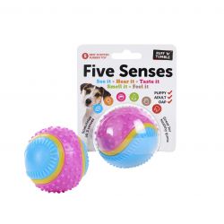 Five Senses Sensory Ball 6.35cm