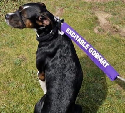 Personalised Dog Lead Sleeve