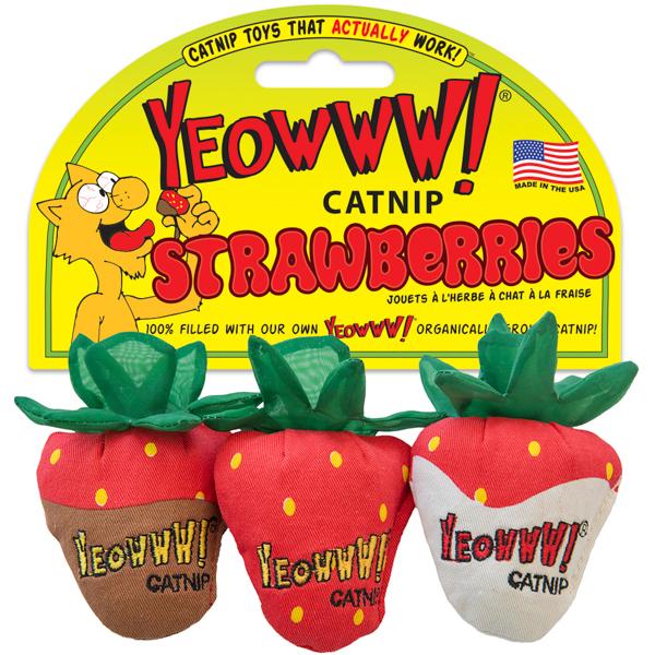 Yeowww! Strawberries