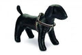 Designed By Lotte Harness Virante Brown 10mm X26-40cm