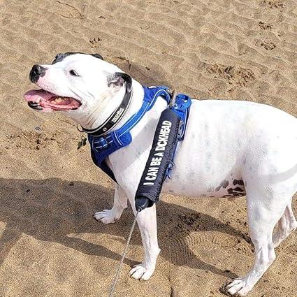 Personalised Dog Lead Sleeve