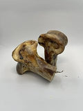Ostrich Knuckle Small