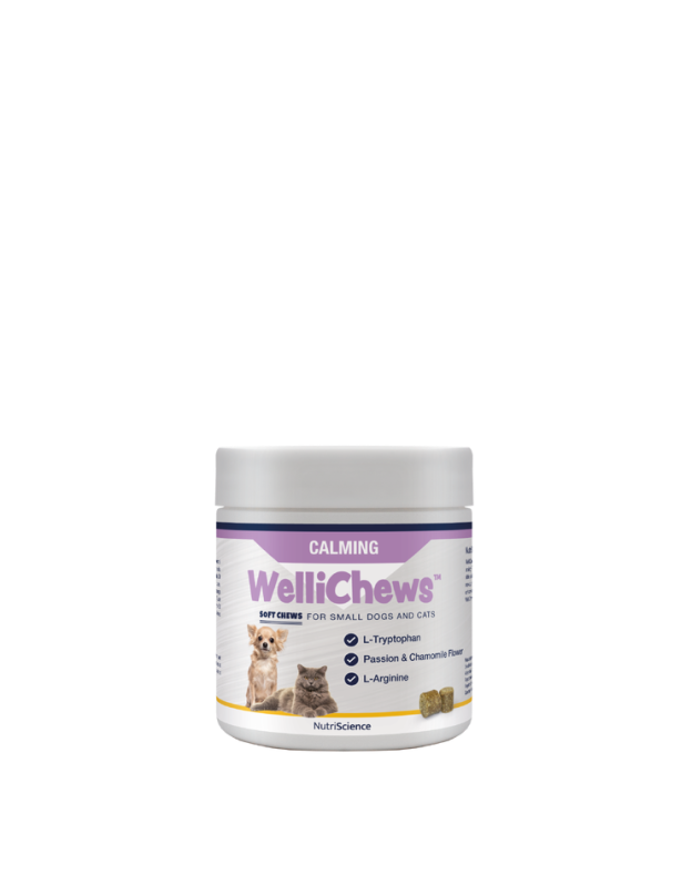 Wellichew - Calming Small Dog/Cat - 120 Chews 123g