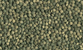 Pleco Tablets
