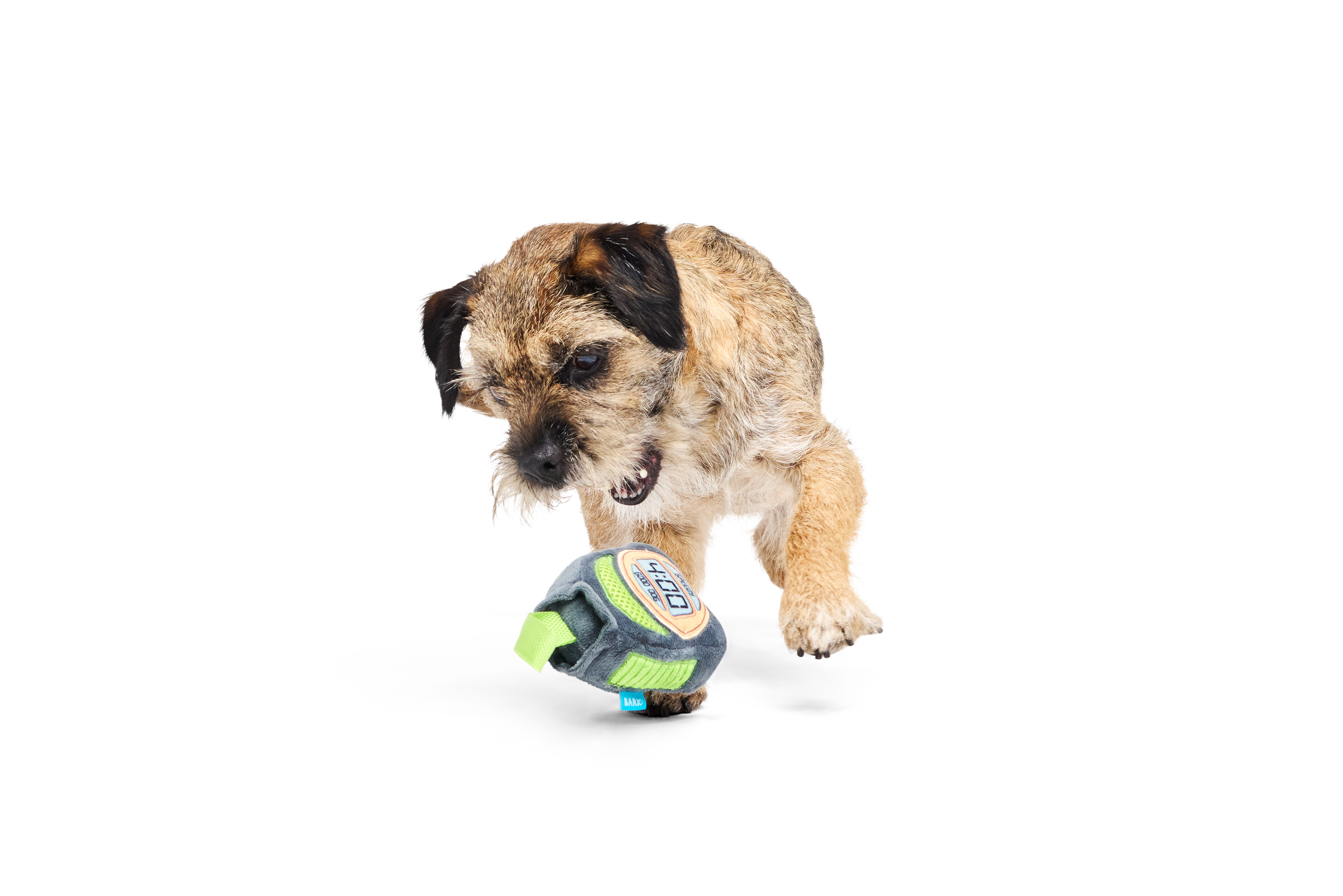 Bark Crufts Personal Beast Play Timer
