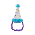 Bark Party Pooper Hat
