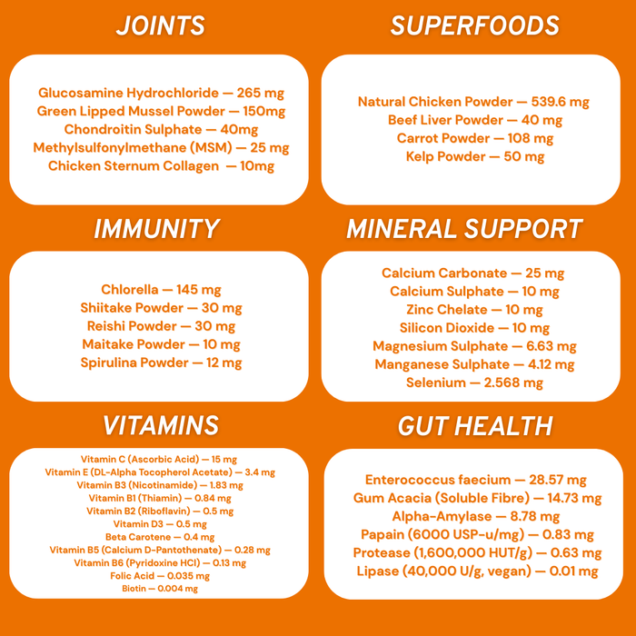 Feline 40 All-in-one natural supplement
