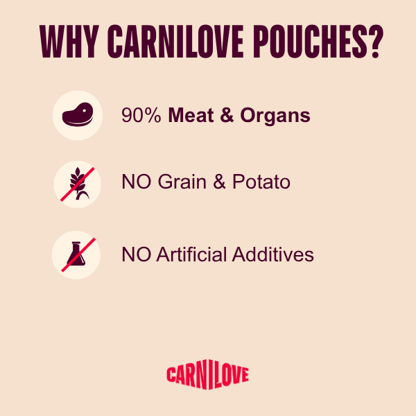 Carnilove Jelly Multipack Cat (12x85g)