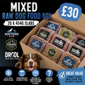 Mixed Raw Dog Food Box – 20 x 454g Slabs