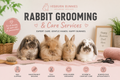 Full Rabbit Groom | Hebburn Bunnies