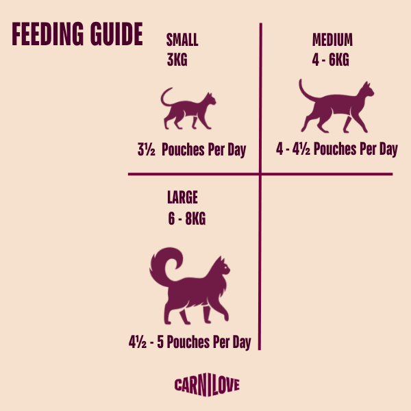 Carnilove Jelly Multipack Cat (12x85g)