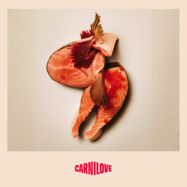 Carnilove Active Salmon & Turkey Large Breed Cat 400g