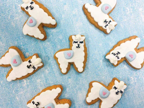 10 Pack – Llama Party - Original Biscuit Bakers