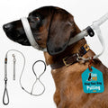 Total Pet Swivel Flat Figure 8 Dog Lead 210cm - RSP £23.99