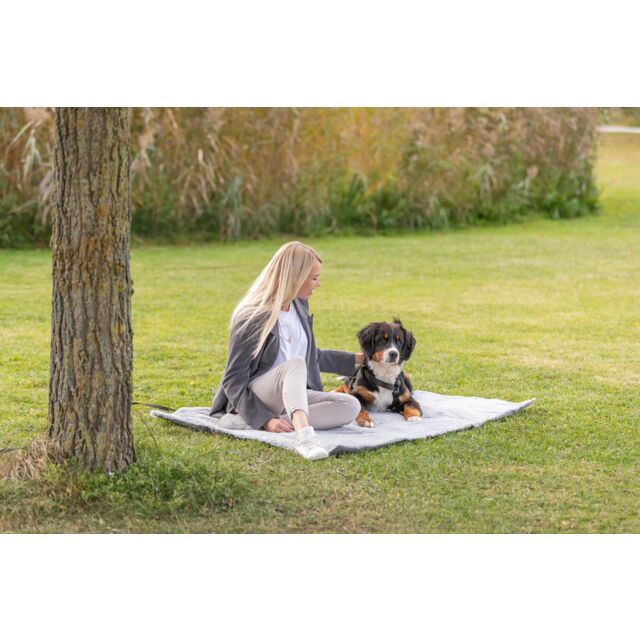 Trixie Travel Blanket Amy