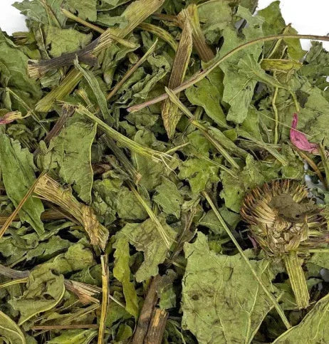 Echinacea Leaves & Stems Grazing Bag – 200g