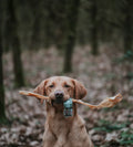 Anco Naturals Giant Goat Stick