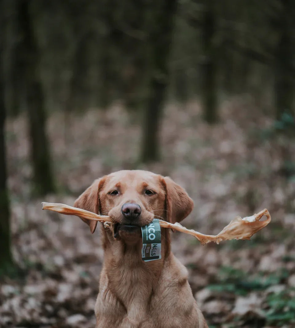 Anco Naturals Giant Goat Stick