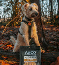Anco Naturals Goat Braids 100g