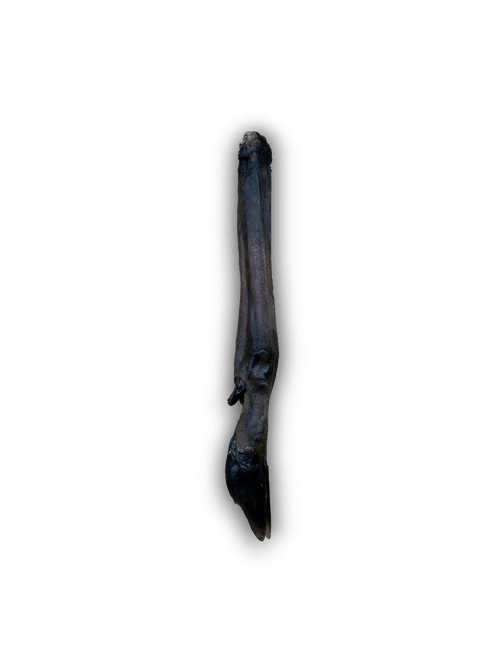 Anco Naturals Roe Deer Leg