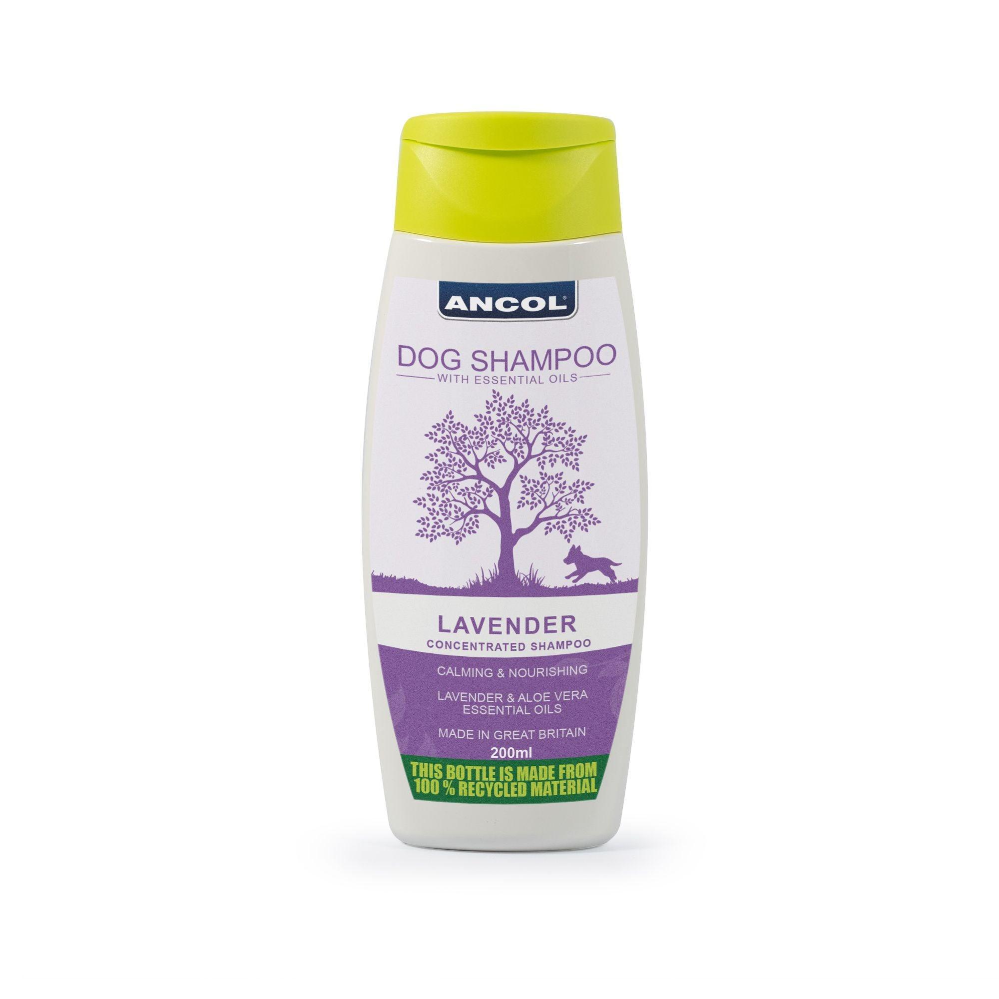 Ancol Dog Shampoo Lavender 200ml