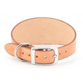Ancol Greyhound Collar