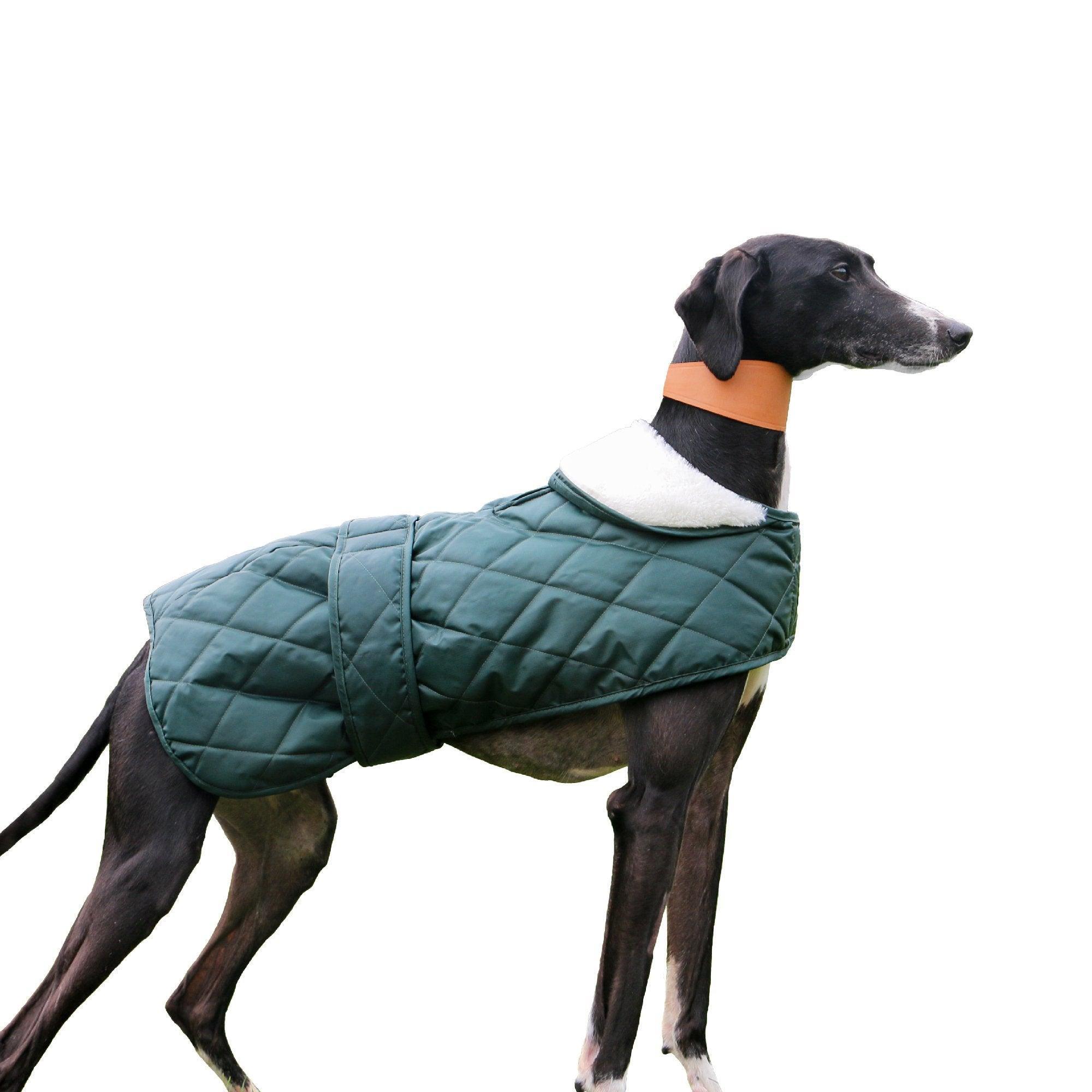 Ancol Muddy Paws Quilted Green Hound Coat XXLarge