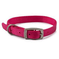 Ancol Viva Buckle Col Pink 26-31cm