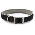 Ancol Viva Padded Buckle Collar Black 50-59cm