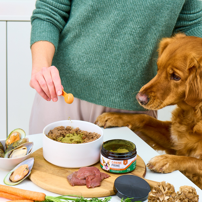 Canine Prime 40-in-1 superfood supplement