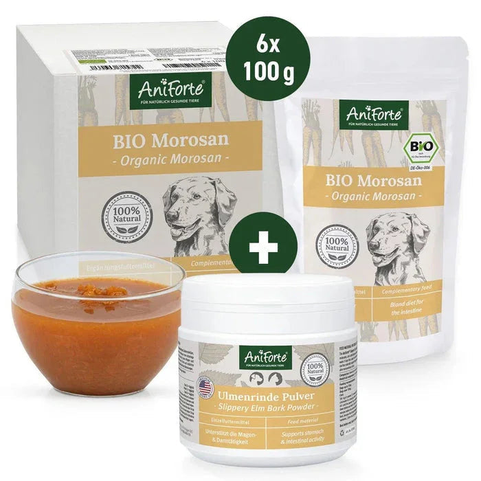 AniForte® Small Digestion Bundle