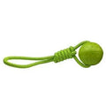Aqua Dog Ball & Rope Toy Green