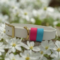 Classic Biothane with double keep - Handmade Classic Biothane Dog Collar