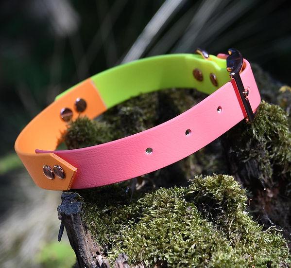 Three Tone Collar - Handmade Three Tone Biothane Dog Collar.