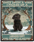 Black Labrador Tin Sign