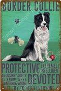 Boarder Collie Dog Tin Sign