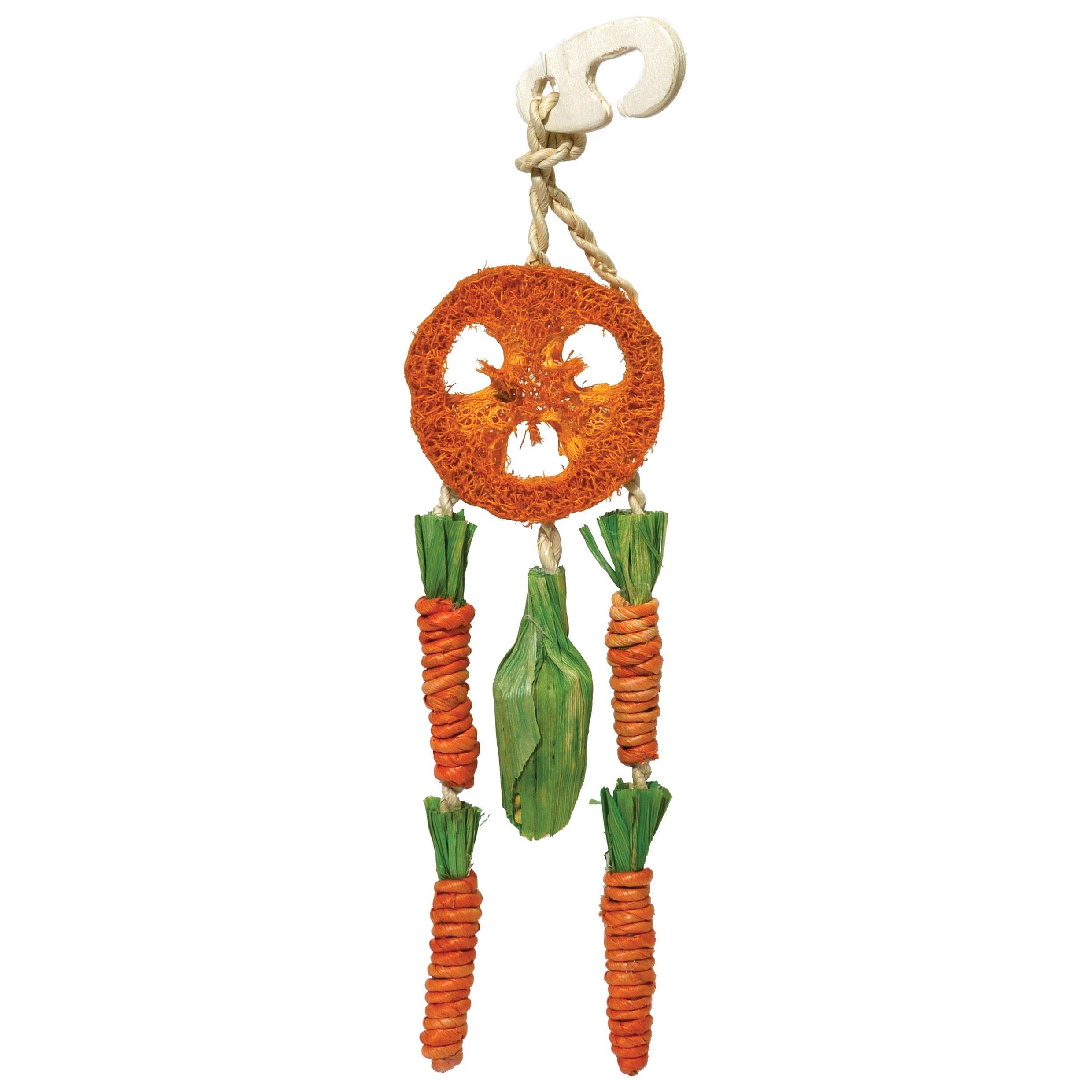 Boredom Break Carrot Dream Catcher