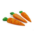 Boredom Break Treat N Gnaw Carrots