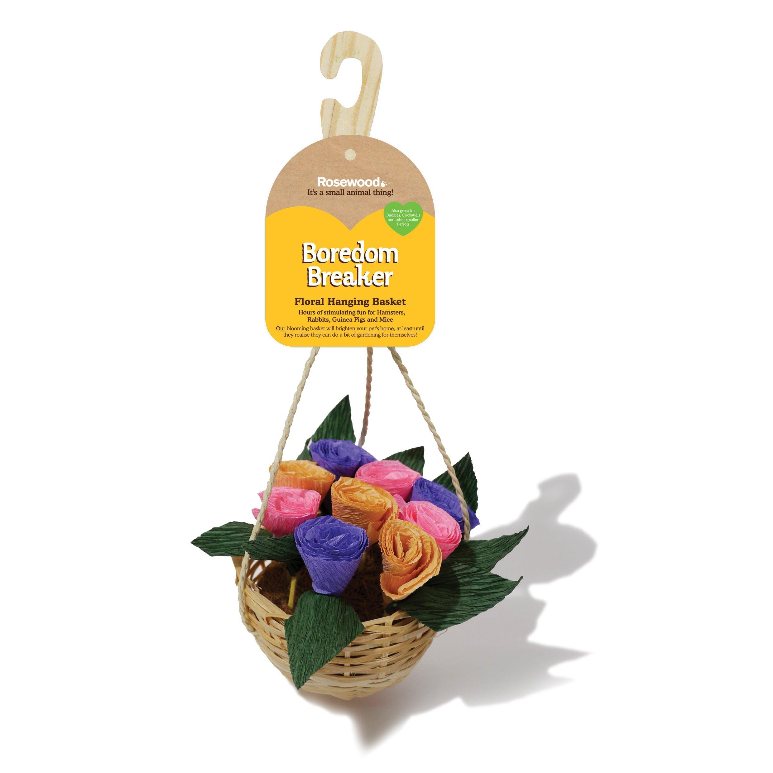 Boredom Breaker Floral Hanging Basket