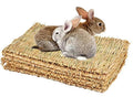 Boredom Grass Chill N Chew Mat