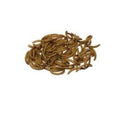 Bucktons Mealworms