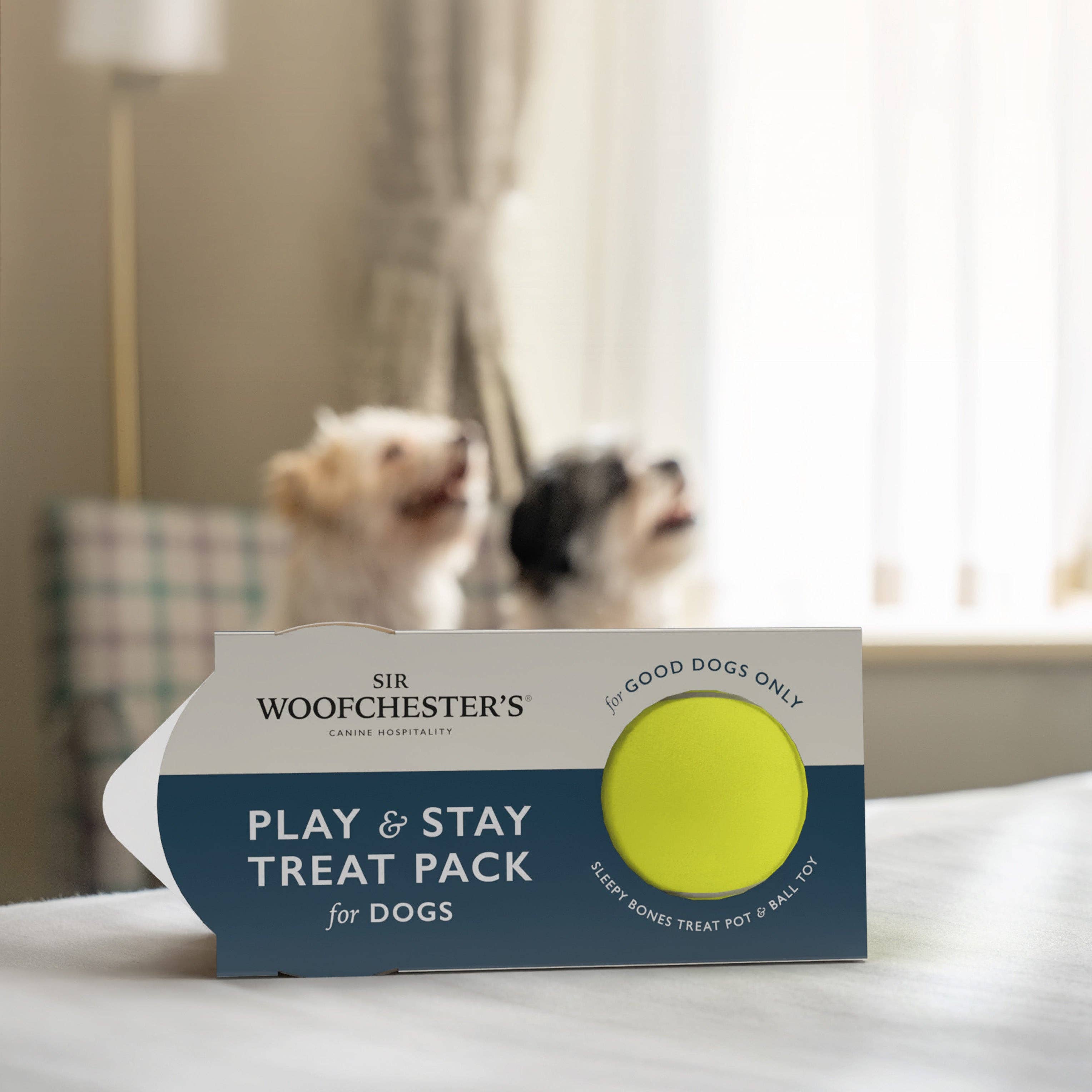 Sir Woofchester’s - Play & Stay Treat Pack for Dogs | Dog Welcome Pack - Single Pack