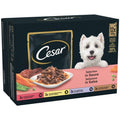 Cesar Tray Senior 10+ Delic CIJ 8x150g