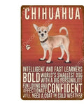 Chihuahua Dog Tin Sign