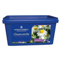 D & H Chamomile