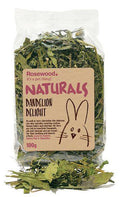 Dandelion Delight Salad